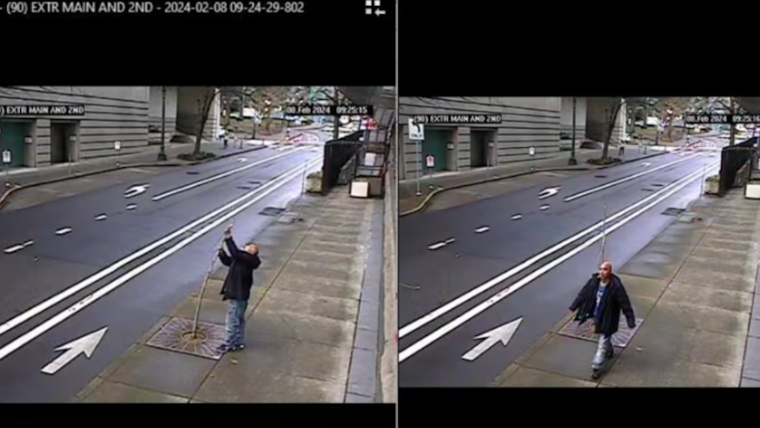 Portland Man Faces Federal Charges for Damaging Trees Around U.S. Courthouse
