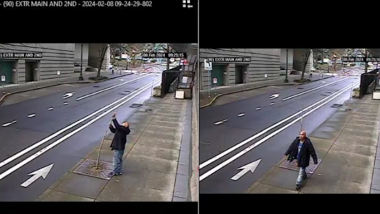 Portland Man Faces Federal Charges for Damaging Trees Around U.S. Courthouse