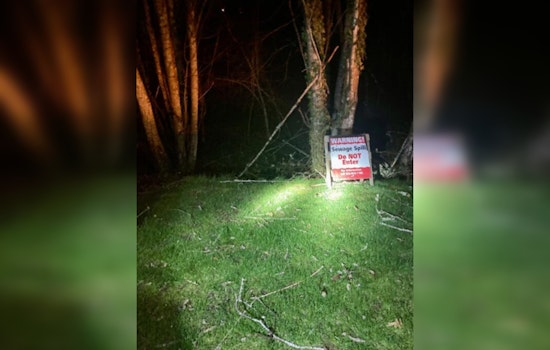 Portland Sewage Spill Sends 1,000 Gallons into Cedar Mill Creek; Health Advisories Issued