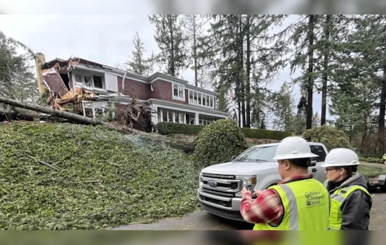 Portland Waives Tree Permit Fees for Winter Storm Cleanup, Seeks Disaster Recovery Aid