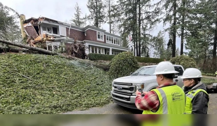 Portland Waives Tree Permit Fees for Winter Storm Cleanup, Seeks Disaster Recovery Aid