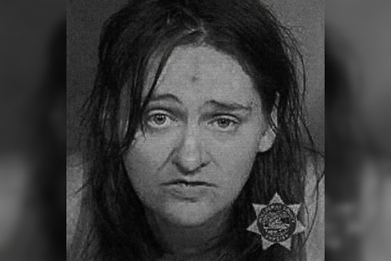 Portland Woman Sentenced to 10 Years in Psychiatric Unit for Pushing Toddler onto MAX Train Tracks