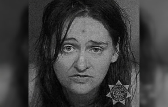 Portland Woman Sentenced to 10 Years in Psychiatric Unit for Pushing Toddler onto MAX Train Tracks