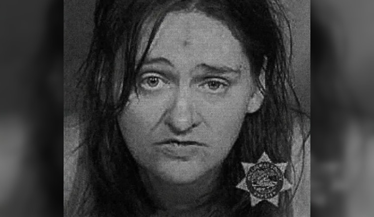 Portland Woman Sentenced to 10 Years in Psychiatric Unit for Pushing Toddler onto MAX Train Tracks