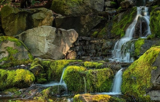 Portland’s Crystal Springs Garden Competes for Newsweek's 'Best Botanical Garden' Title