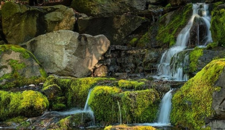 Portland’s Crystal Springs Garden Competes for Newsweek's 'Best Botanical Garden' Title