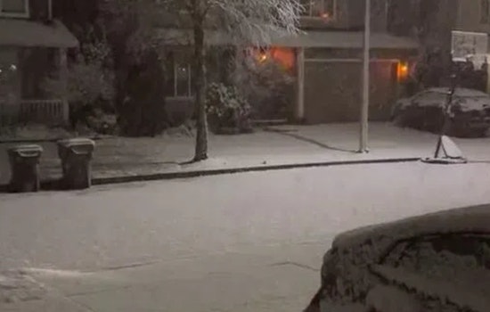 Power Outages and School Closures in Western Washington as Snow Blankets Region