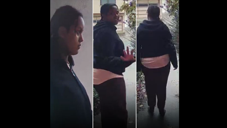 Public's Help Sought in Search for Missing At-Risk Teenager Last Seen in San Francisco