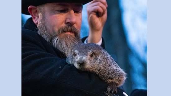 Punxsutawney Phil Predicts Early Spring in Groundhog Day Rarity Near Pittsburgh