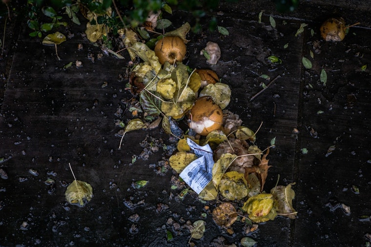 Ramsey County Issues Alert on Plastic Contamination in Compost Bins to Preserve Environment