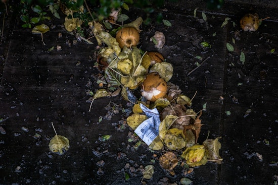 Ramsey County Issues Alert on Plastic Contamination in Compost Bins to Preserve Environment