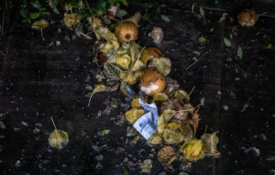 Ramsey County Issues Alert on Plastic Contamination in Compost Bins to Preserve Environment