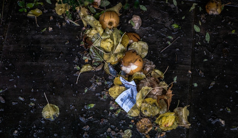 Ramsey County Issues Alert on Plastic Contamination in Compost Bins to Preserve Environment