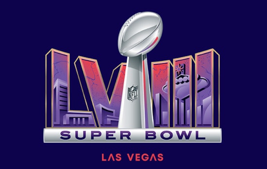 Ranking the Super Bowl Shows That Left America Buzzing!