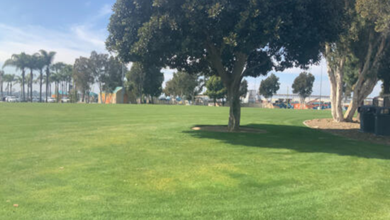 Revamped and Ready, Cesar Chavez Park's Field Reopens on San Diego Bayfront