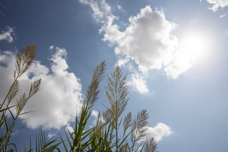 San Antonio Braces for Week of Unpredictable Weather, from Sunny Skies to Rain Showers