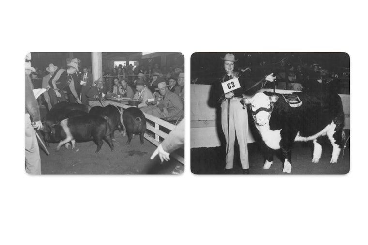 San Antonio Stock Show and Rodeo Kicks Off 75th Anniversary Amid Weather Challenges