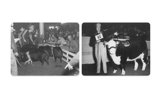 San Antonio Stock Show and Rodeo Kicks Off 75th Anniversary Amid Weather Challenges