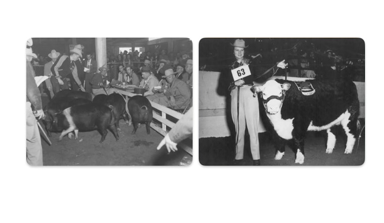 San Antonio Stock Show and Rodeo Kicks Off 75th Anniversary Amid Weather Challenges