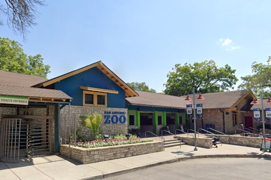 San Antonio Zoo Joins Megan Thee Stallion and Nicki Minaj Feud with "Cry Me a Roach Fundraiser"
