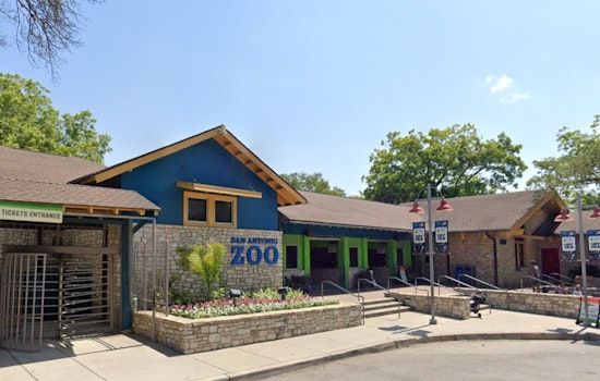 San Antonio Zoo Joins Megan Thee Stallion and Nicki Minaj Feud with "Cry Me a Roach Fundraiser"