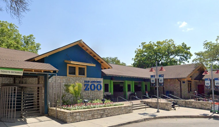 San Antonio Zoo Joins Megan Thee Stallion and Nicki Minaj Feud with "Cry Me a Roach Fundraiser"