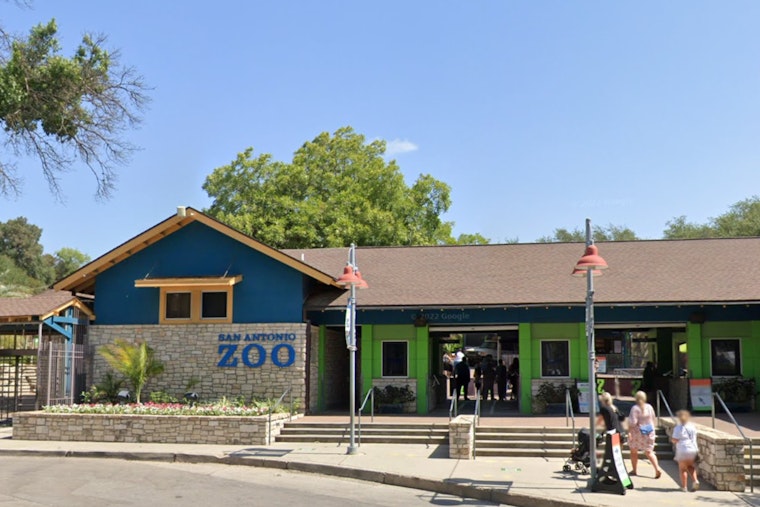 San Antonio Zoo Offers $8 Admission to Bexar County Residents