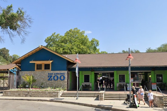 San Antonio Zoo Offers $8 Admission to Bexar County Residents