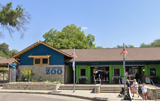 San Antonio Zoo Offers $8 Admission to Bexar County Residents
