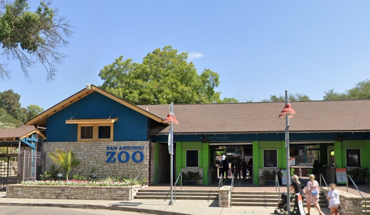San Antonio Zoo Offers $8 Admission to Bexar County Residents