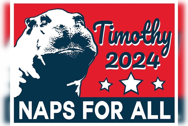 San Antonio's Timothy the Hippo 'Runs' for HOTUS, Ignites Whimsical Election Season