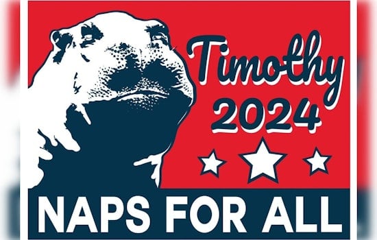 San Antonio's Timothy the Hippo 'Runs' for HOTUS, Ignites Whimsical Election Season
