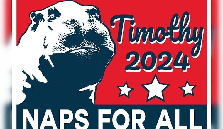 San Antonio's Timothy the Hippo 'Runs' for HOTUS, Ignites Whimsical Election Season