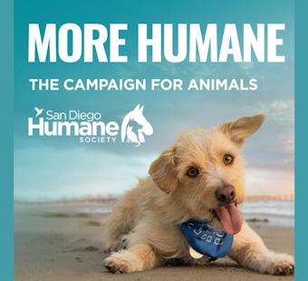 San Diego Humane Society Unveils Historic $250 Million 'More Humane' Campaign to Revolutionize Animal Welfare