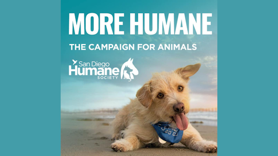 San Diego Humane Society Unveils Historic $250 Million 'More Humane' Campaign to Revolutionize Animal Welfare