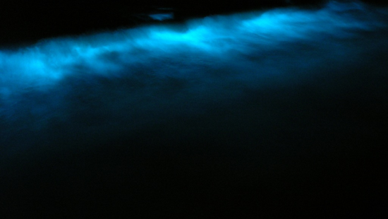 San Diego Shores Light Up As Bioluminescent Waves Offer Spectacular Nighttime Display