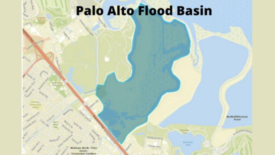 Santa Clara County Schedules Valentine's Day Aerial Assault on Mosquito Larvae in Palo Alto