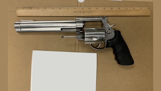 Santa Rosa Man Accused of Summer Jewel Heist, Arrested on Valentine's Day in Sebastopol Sweep