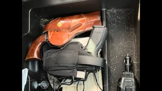 Santa Rosa Police Arrest Van Nuys Man for Allegedly Brandishing Firearm on the Road