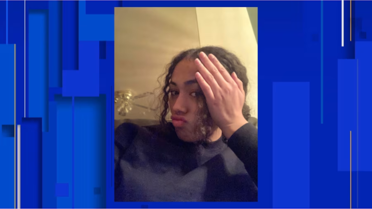 Search Intensifies for Missing Southfield Teen No'elle Carrol Amidst Mental Health Concerns