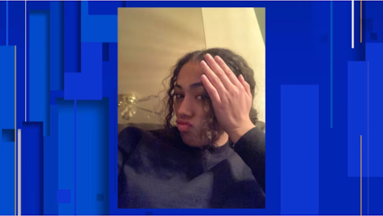 Search Intensifies for Missing Southfield Teen No'elle Carrol Amidst Mental Health Concerns