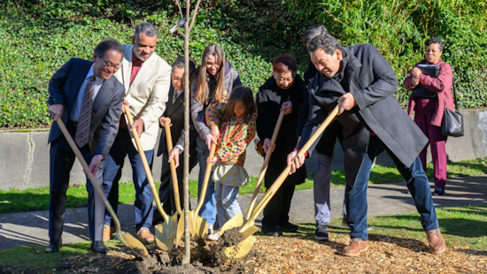 Seattle and Japanese Officials Plant New Cherry Blossom Trees for Cultural Ties and Renewal