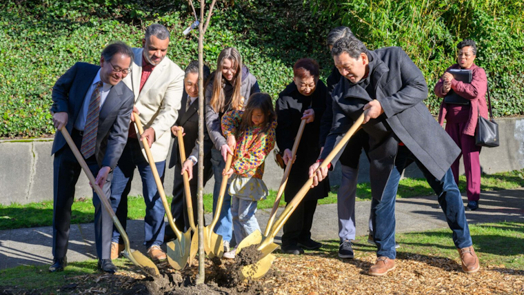 Seattle and Japanese Officials Plant New Cherry Blossom Trees for Cultural Ties and Renewal