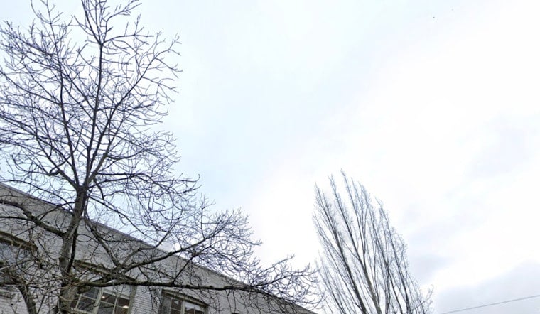 Seattle Embraces Glimpse of Spring Amid Forecast of Mixed Weekend Weather