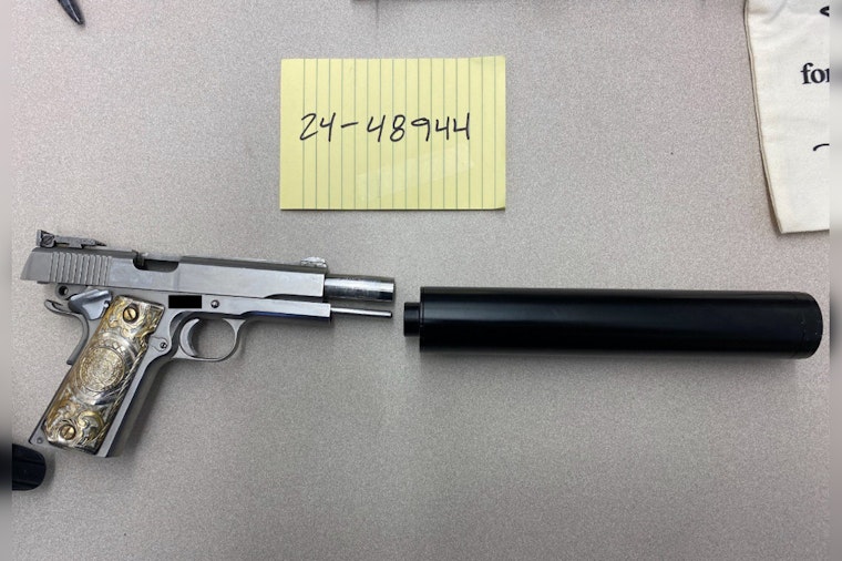 Seattle Man Accused of DUI, Unlawful Possession of Firearm in South Park Incident