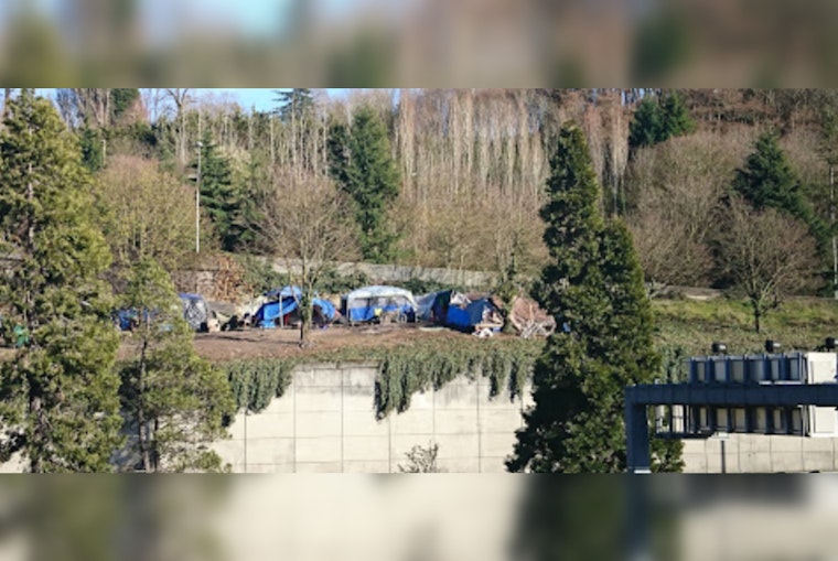 Seattle Man Charged for Illegally Building Cabin in Dr. Jose Rizal Park Amidst Ecological Concerns