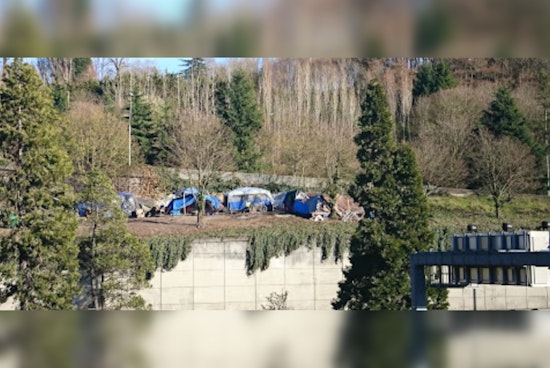 Seattle Man Charged for Illegally Building Cabin in Dr. Jose Rizal Park Amidst Ecological Concerns