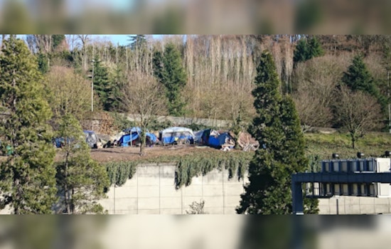 Seattle Man Charged for Illegally Building Cabin in Dr. Jose Rizal Park Amidst Ecological Concerns