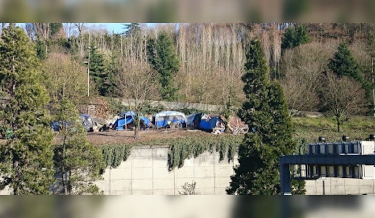 Seattle Man Charged for Illegally Building Cabin in Dr. Jose Rizal Park Amidst Ecological Concerns