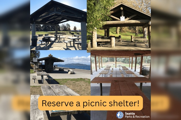 Seattle Opens Lottery for Coveted Summer Picnic Spots in City Parks